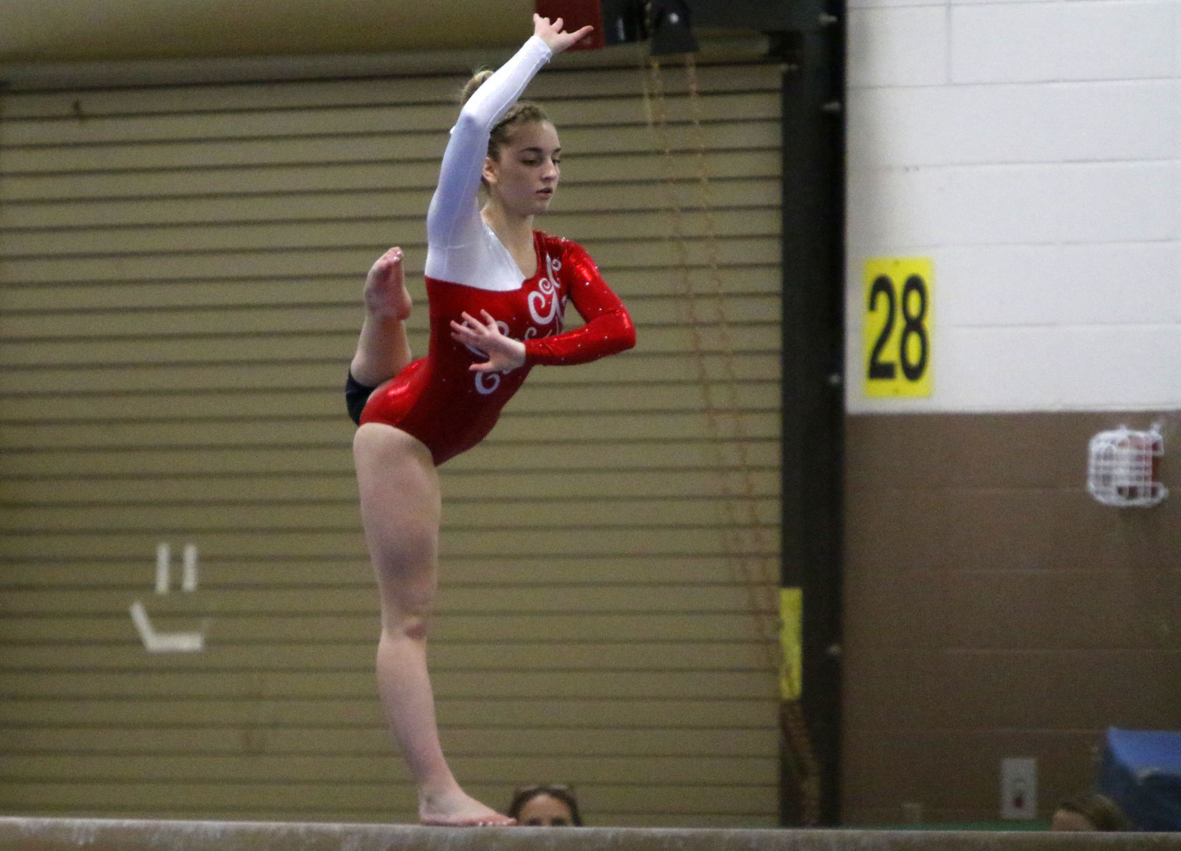LaPorte Pairs Gymnastics Invitational